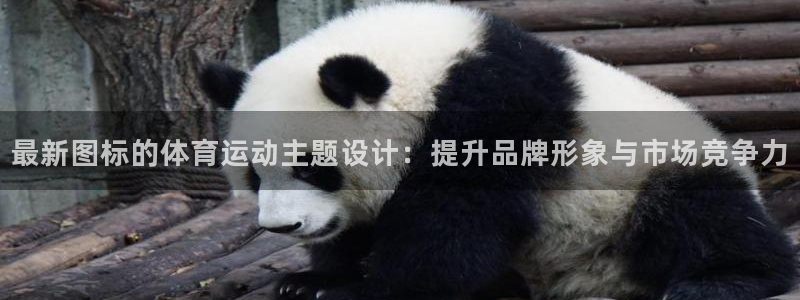 急速体育：最新图标的体育运动主题设计：提升品牌形象与市场竞争力