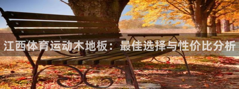 急速体育nba直播在线观看