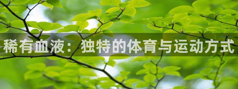 急速体育nba直播在线观看