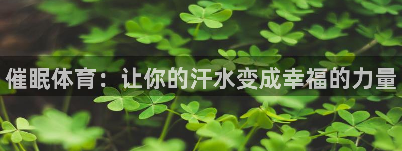 急速体育