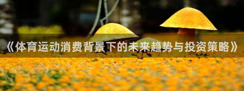 关键词：《体育运动消费背景下的未来趋势与投资策略》